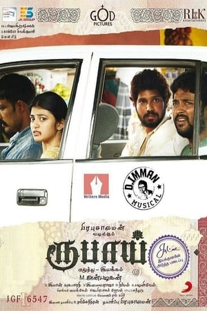 Rubaai (2017) Hindi Dual Audio 400MB HD Poster Download - Filmyzilla